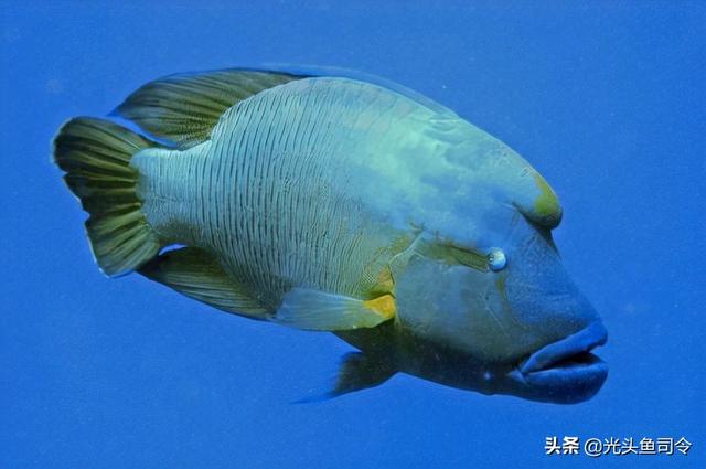 泉州青石制砂机器厂家