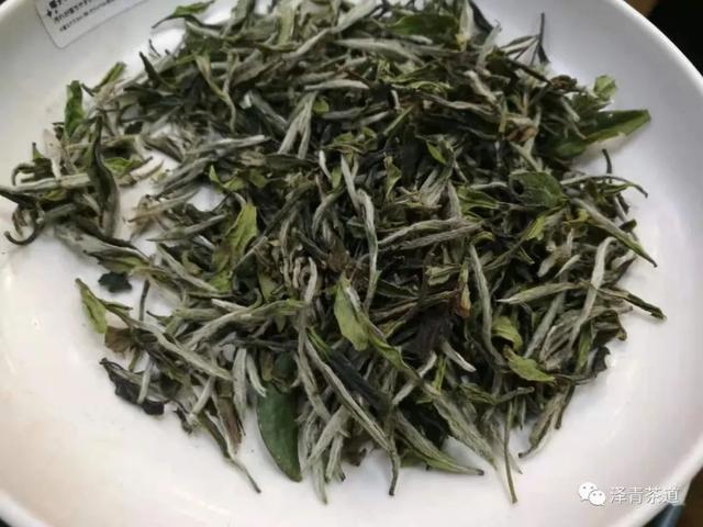 清明时节，如何喝茶养生