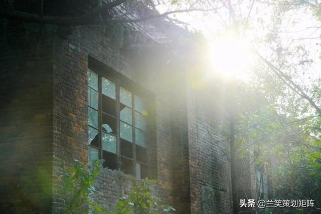 合肥水泥机械展