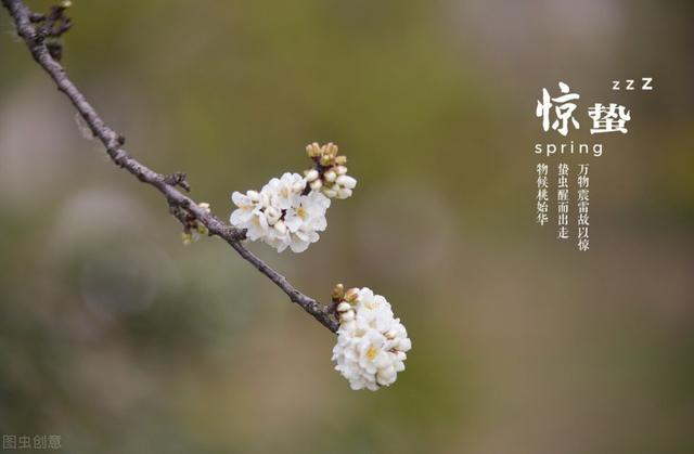 明日惊蛰，牢记“3不留，3不吃，3不做”，顺应天时，惬意过春天