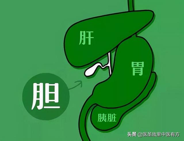 千古名方三仁汤，宣肺和胃，健脾利湿，可清三焦湿热、除一身杂症