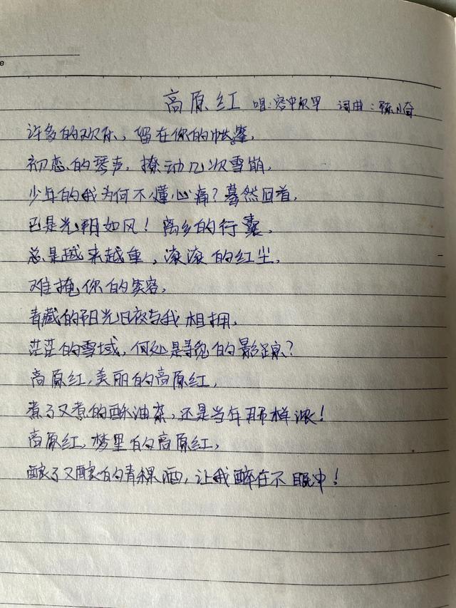 泛黄的青春日记本