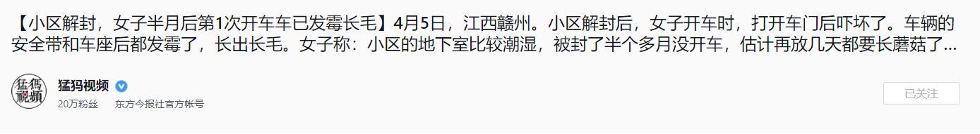 女子隔离15天后发现车上发霉长毛（车内长毛发霉怎么回事）-第6张图片-腾赚网