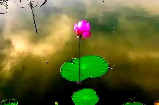 人生用什么来衡量