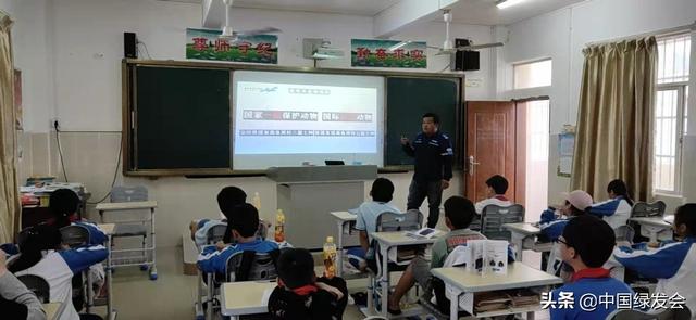 小学生海洋工程的展报