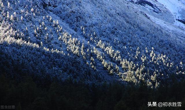 瑞雪的意思