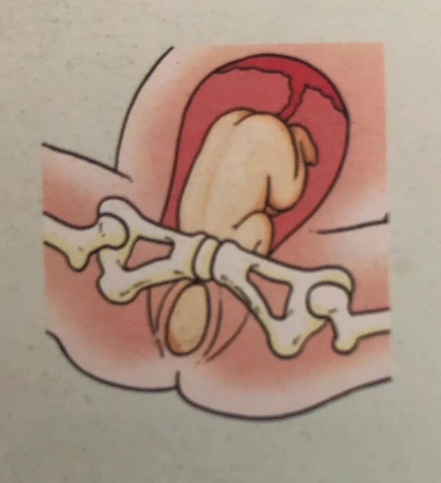 广东新增育儿假，老公叫我生三胎，我让他看完这6张图