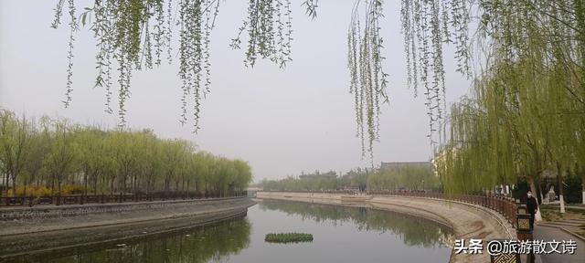 花开杨柳青