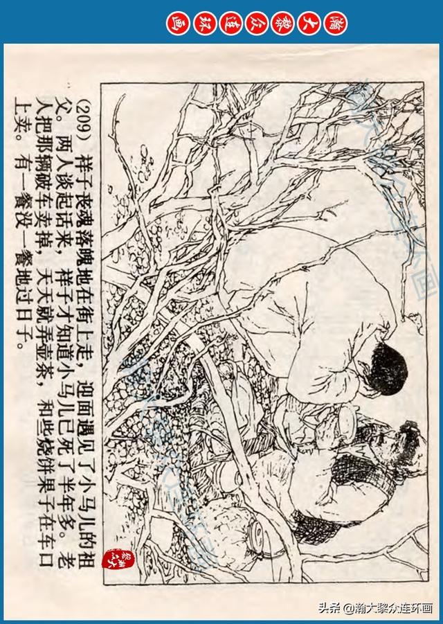 骆驼祥子插图简笔画