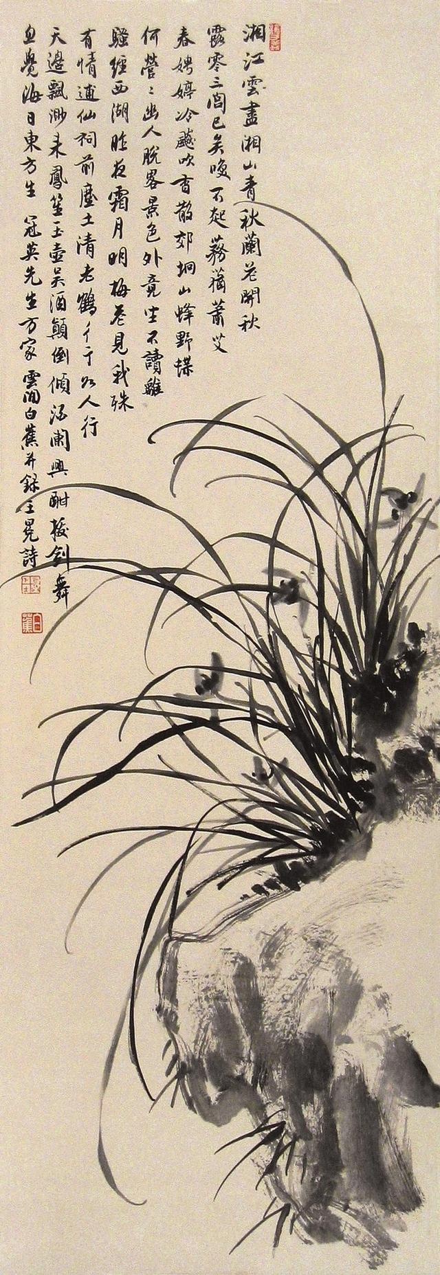 现代的人虽然不像古人那么有才,能够用诗词去歌颂兰花,但是养兰花的人