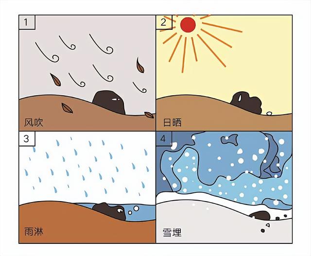 一文看懂《时间简史》之谁是宇宙中最长寿的