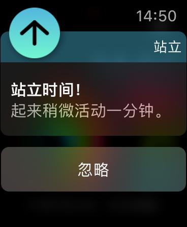 休闲玩家带你入坑：Apple Watch 6一年使用感受