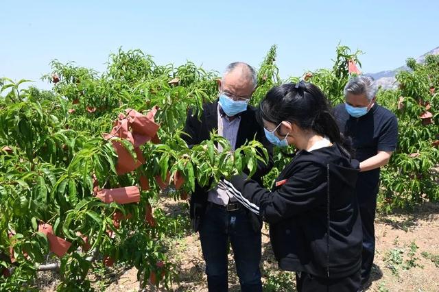“临沂人才日”系列主题活动 市乡村振兴专家服务团走进基层服务百姓