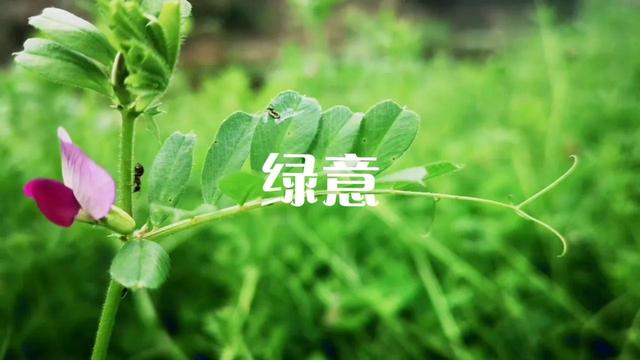 你最喜欢的事？#如何用一句话表示你很富有#
