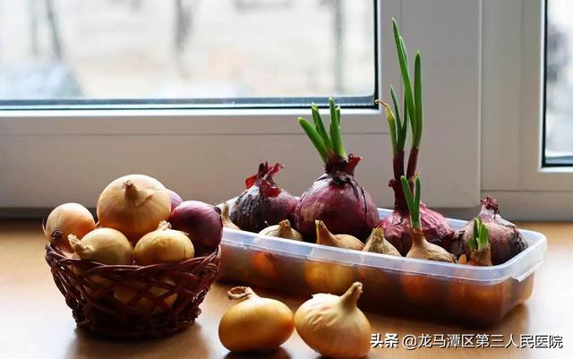 发芽的蔬菜到底还能不能吃？详尽解答来了！