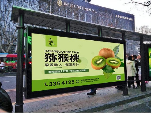 农业品牌营销顶层设计案例——陕西某镇农业公共品牌策划案