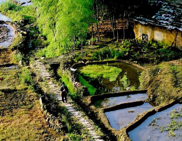 乡土散文：那份乡愁