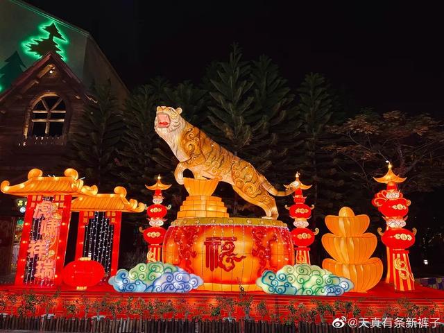 福建工程灯光展联系电话