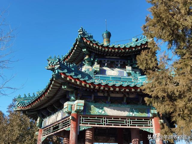 一隅山水鬧市藏 精巧布景多風光——北京東單公園冬日時光