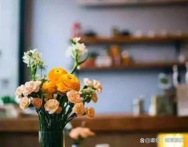 半生已过，淡然生活