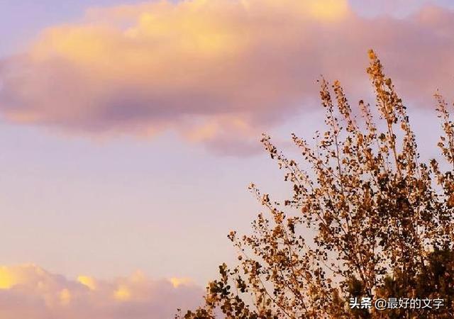 生活不容易，看淡才幸福！（深度好文）