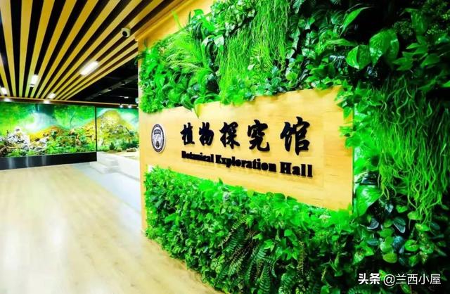 那个青少年学校好(青少年学校哪里好)(图12)