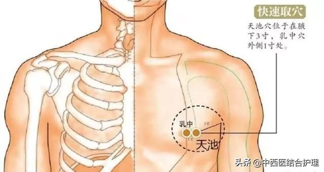 「经络养生科普」十二经筋/经络之手厥阴（心包）筋经