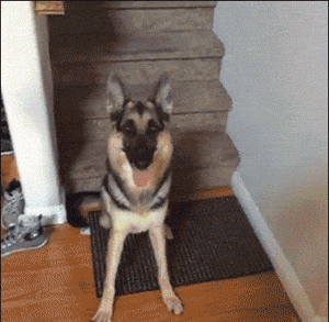 互联网裁员，冷冬来临