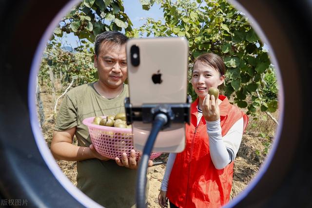 原油涨跌定价中国菜籽油，电商直销改变苹果红枣收购定价体系