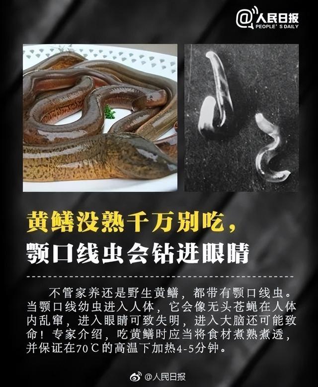 千万别碰！福寿螺体内寄生虫多达6000条