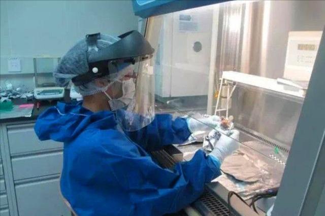 家用破碎机样品价格