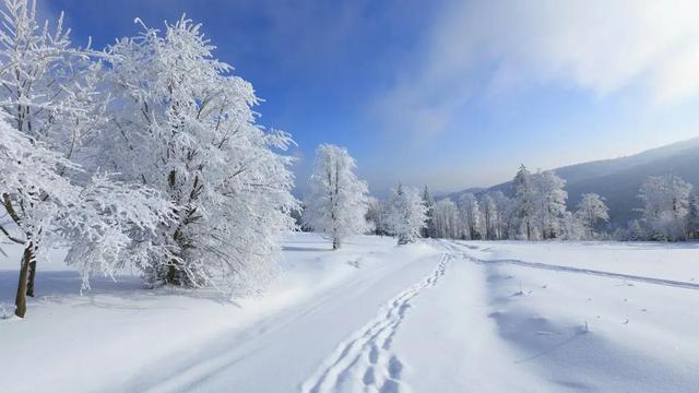 降雪量5毫米是什么概念