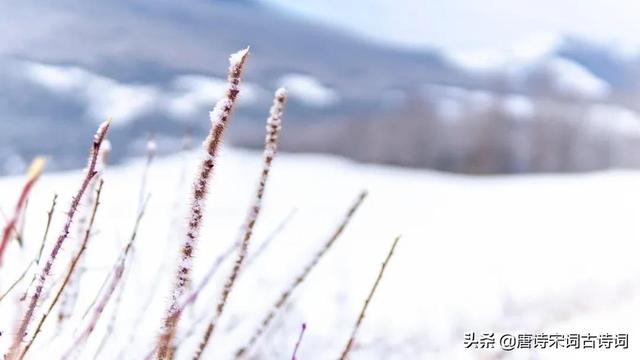 形容雪的成语有什么意思是什么