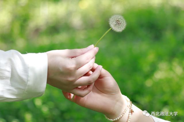什么？在西法大，spring还有这个意思!