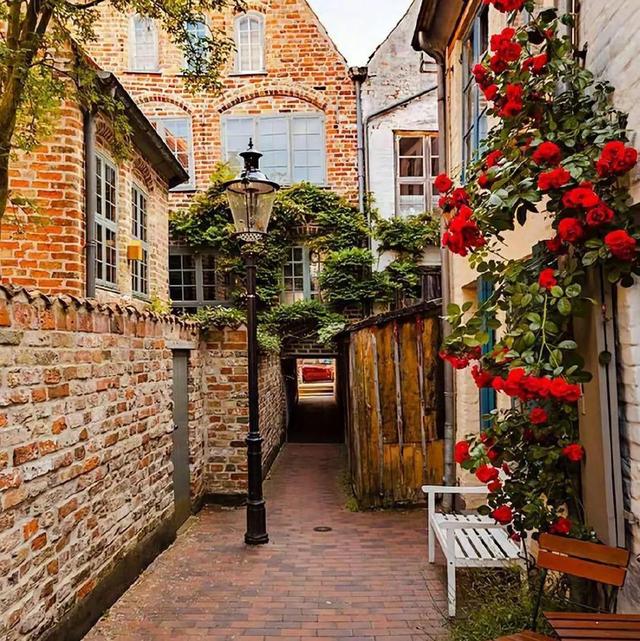 最美的图片和风景微信(图片微信头像唯美风景)-天晟网