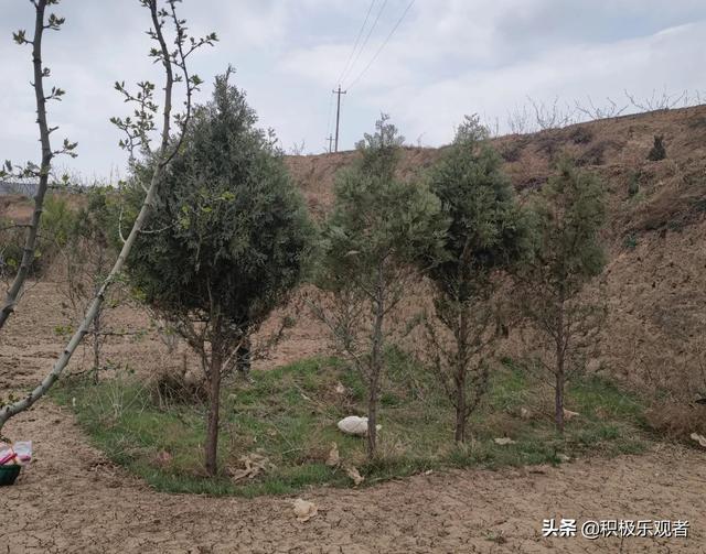 https://blog.sina.com.cn/s/blog_95b83d1401030ldf.html