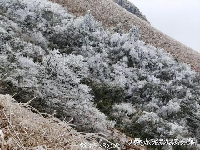 “生活就是每天吃一颗糖，然后告诉自己：今天的日子果然又是甜的