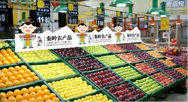 农业品牌营销顶层设计案例——陕西某镇农业公共品牌策划案