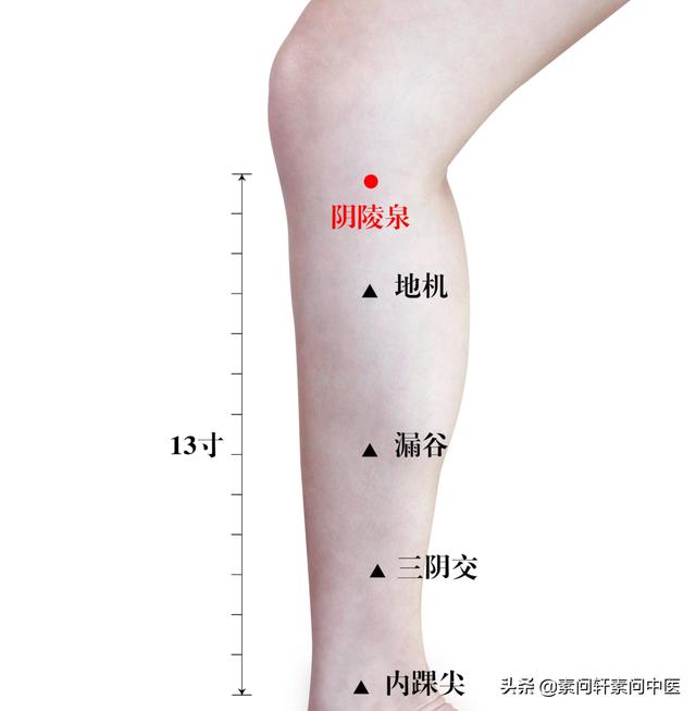 湿气重有4个表现，坚持按揉2个穴位，排出体内湿气