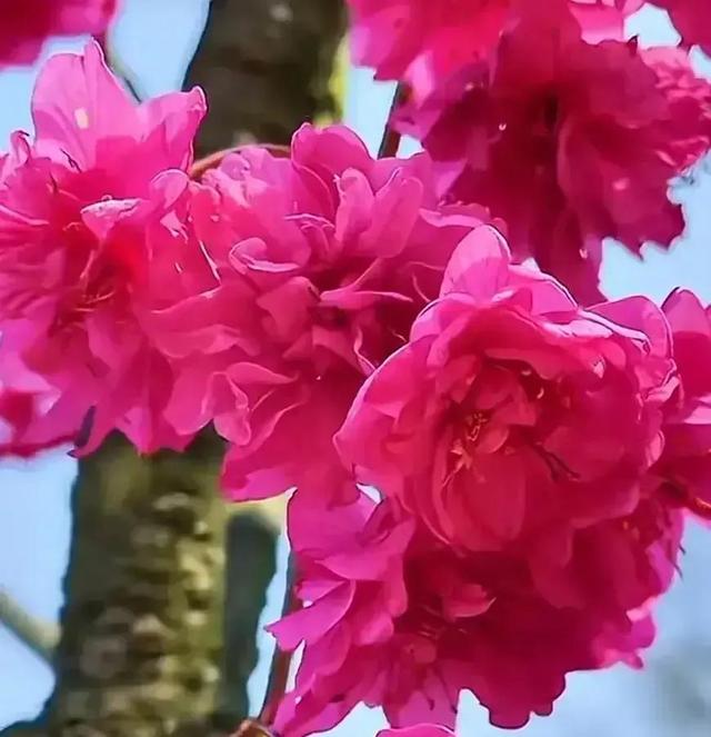 不以物喜，不以己悲