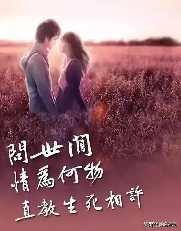 原创藏头诗：陪你天天，爱你永久