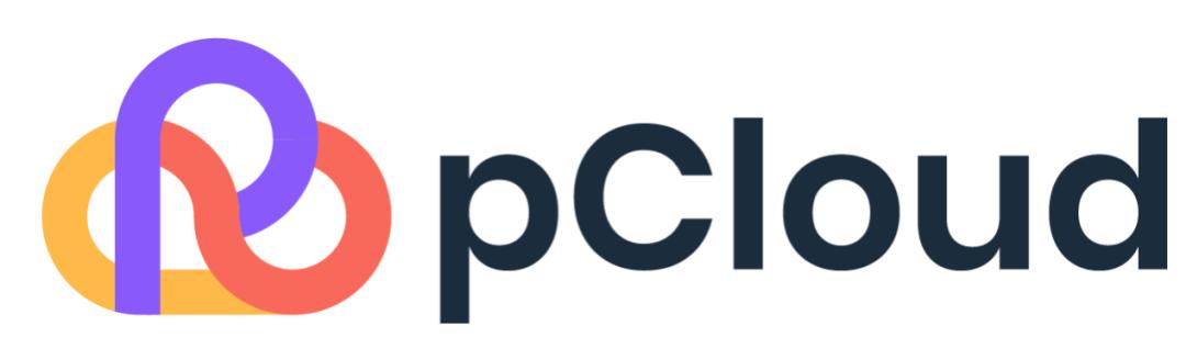 TiDB Hackathon 2021—pCloud : 做数据库上的 iCloud丨pCloud 团队访谈