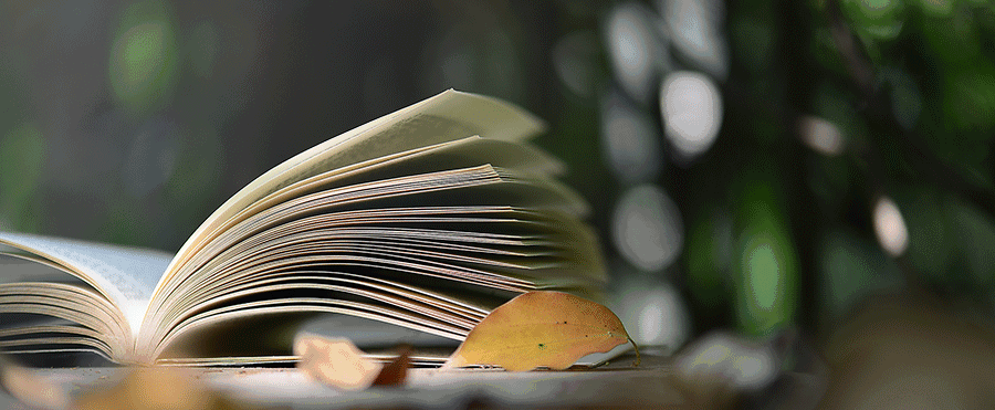 你是我生命中最美好的部分