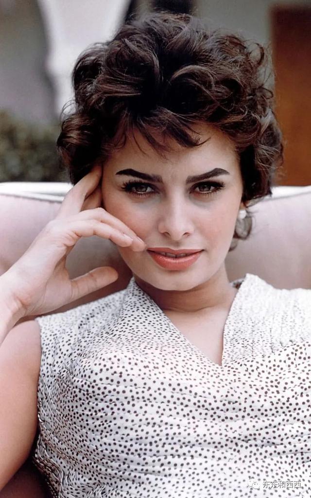 索菲亚罗兰(索菲亚罗兰年轻图片)-帝国cms模板网