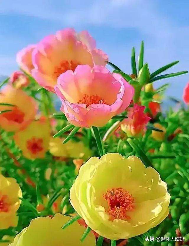 今日好心情，幸福来敲门