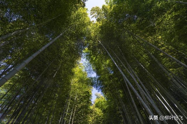 在逆境中要看到生活的美，在希望中别忘记要不断奋斗
