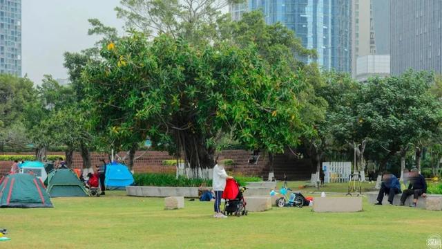 深圳露营