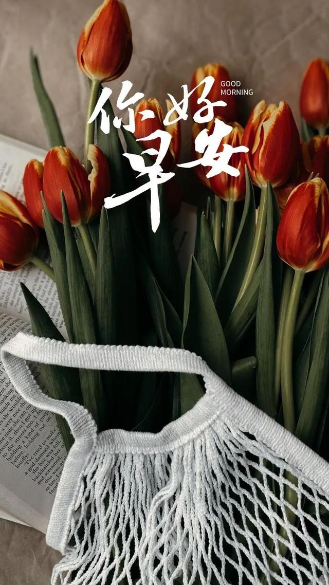 三月流焱：世间万事，皆有因果，凡是让你痛苦的，都是来渡你的