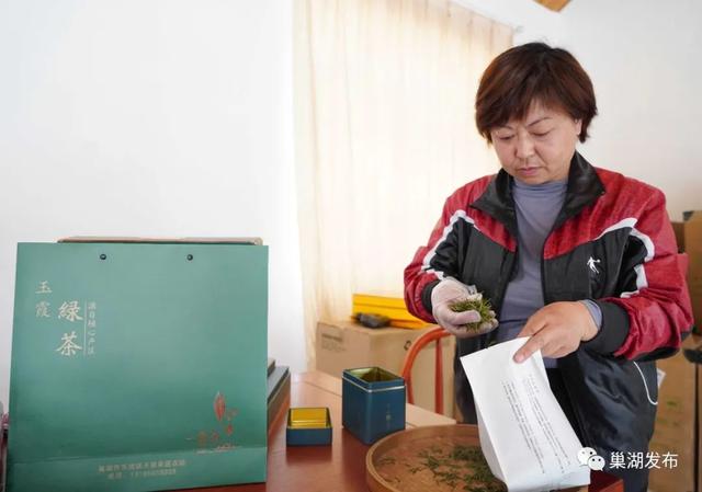 满园飘香！巢湖首批春茶全面开采