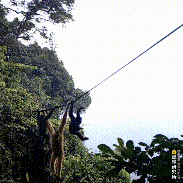 福建风化岩螺旋洗砂机多少钱